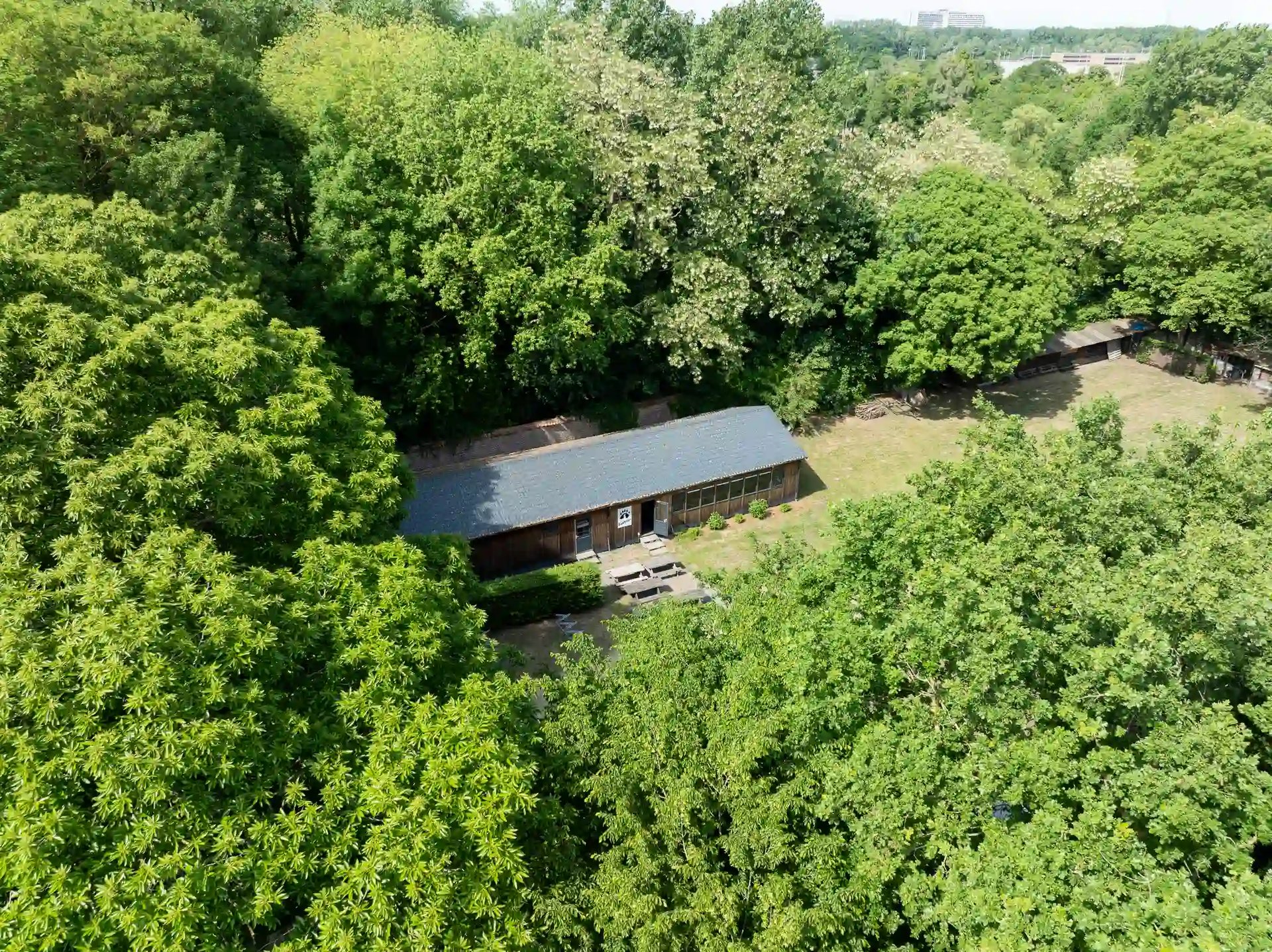 Hahbo-modulaire-houtbouw-systeembouw-ALRO-Brugse-Ijsberen_2